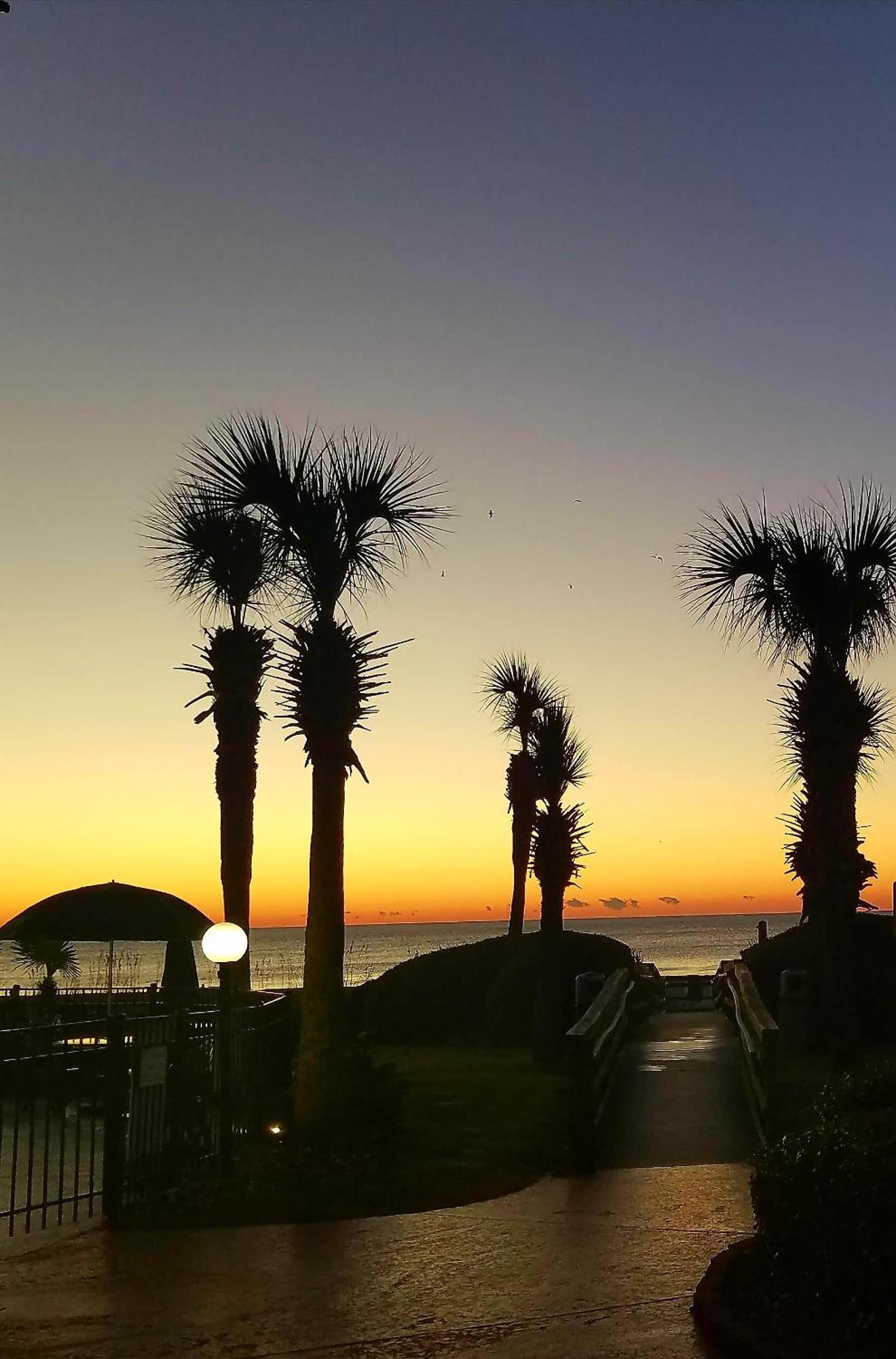 The Palms Resort-Oceanfront Myrtle Beach Exterior foto